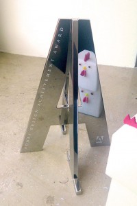 Adobe Award Social Impact