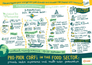 CARE Graphic Recording CDRFI in the Food Sector