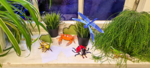 Insekten Bastelmodelle Fensterbank