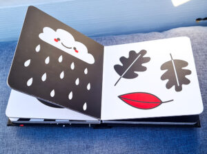 Kontrasbuch Herbstseiten